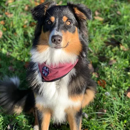 Κατάλυμα σε φάρμα Rieserhof/fam. Meissnitzer