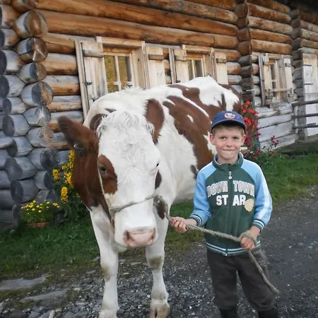 Rieserhof/fam. Meissnitzer Фермерский дом