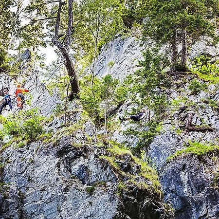 Rieserhof/fam. Meissnitzer *