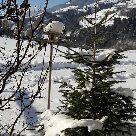 Rieserhof/fam. Meissnitzer Taxenbach