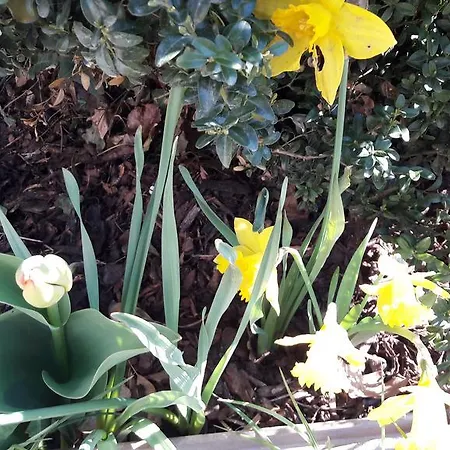 Rieserhof/fam. Meissnitzer Farm stay