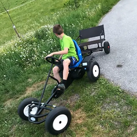 Rieserhof/fam. Meissnitzer Κατάλυμα σε φάρμα *