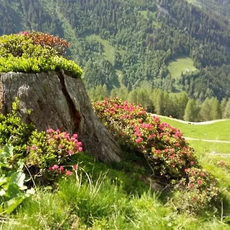 Rieserhof/fam. Meissnitzer