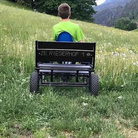 Κατάλυμα σε φάρμα Rieserhof/fam. Meissnitzer Taxenbach