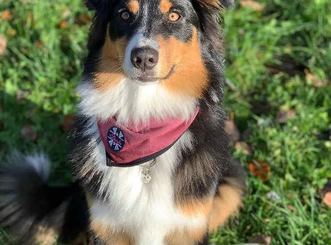 Фермерский дом Rieserhof/fam. Meissnitzer