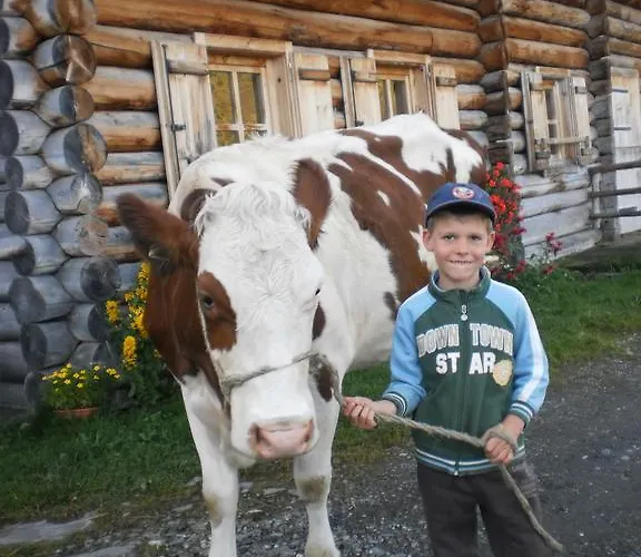 Rieserhof/fam. Meissnitzer Фермерский дом