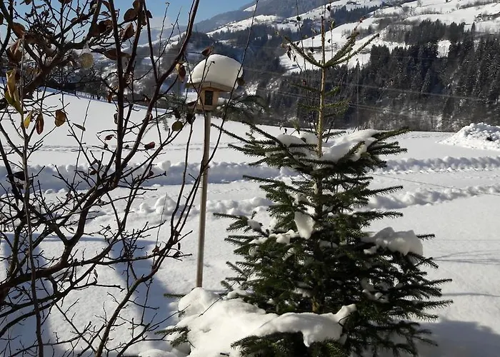 Rieserhof/fam. Meissnitzer Таксенбах