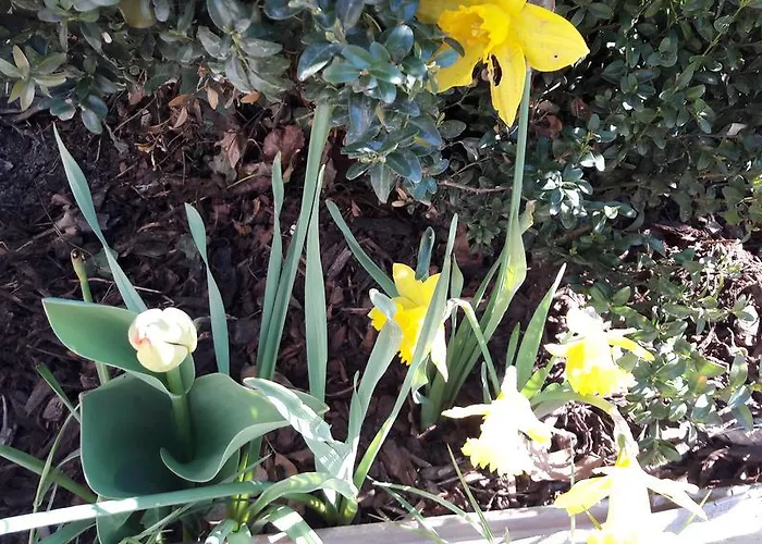 Rieserhof/fam. Meissnitzer Agroturismo