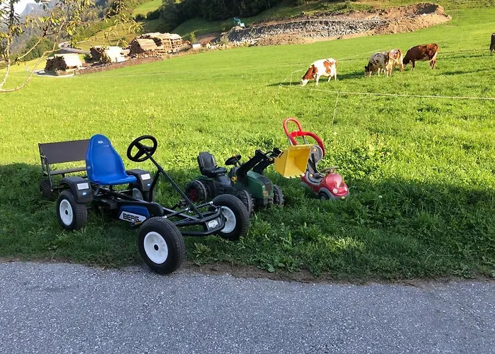 Rieserhof/fam. Meissnitzer